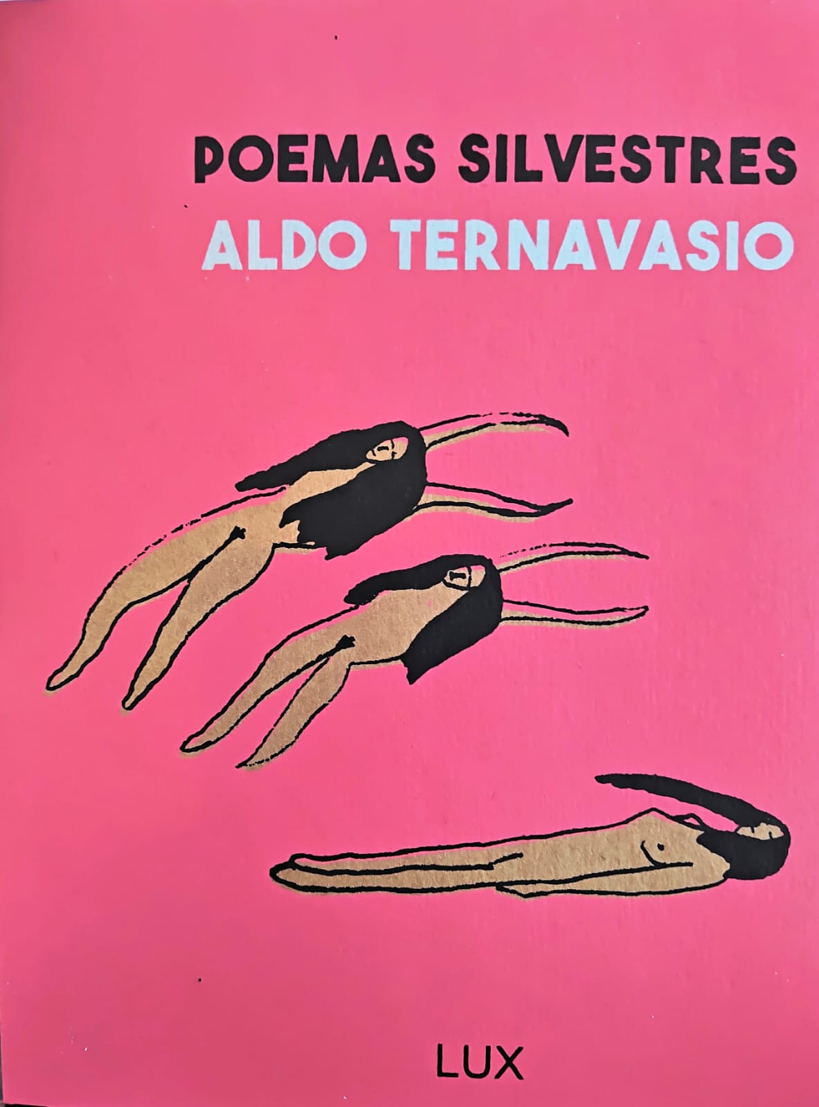 Portada del libro Poemas Silvestres de Ternavasio