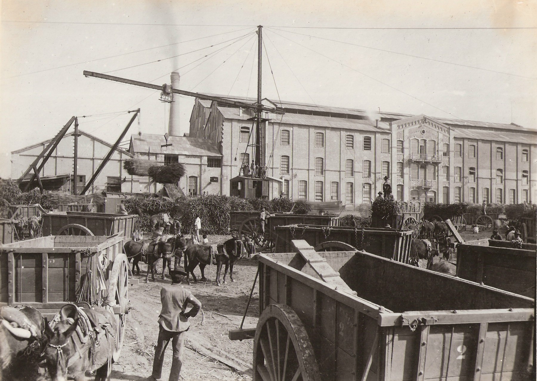Volver al ingenio: la Ruta del Azúcar y la memoria pendiente de San Pablo
